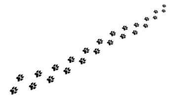 Chain footprints in snow large animal clipart. Black prints predatory beast with wide paws and sharp claws leaving vector pursuit