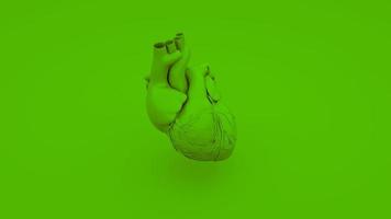 Green Anatomical Heart Concept. 3D illustration photo