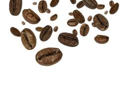 coffee beans roasted photo