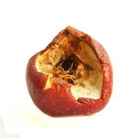 Big red bitten off and rotten apple isolated on white background. photo