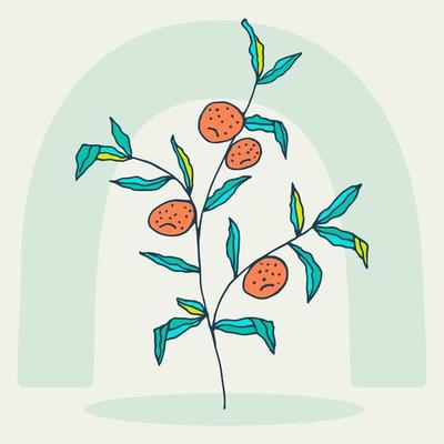 Hand drawn orange tree in doodle style. Orange. Fruit tree drawing. Pastel shades. Abstract art botanical background vector. Fresh healthy food.