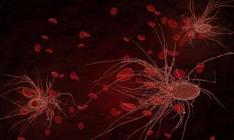 flagelo o flagelos de bacterias atacan sangre roja. transformar el concepto médico de la infección por la enfermedad del coronavirus covid-19. nuevo nombre oficial para la enfermedad del coronavirus llamado covid-19. representación 3d foto