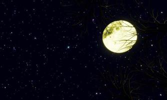 Night sky With stars twinkling in the sky And the bright yellow full moon was cloudless. The scene looked up high in the sky. 3D Rendering photo