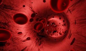 Red blood cells in an artery or  blood vessel , flow inside body, medical human health-care. 3D Rendering. photo
