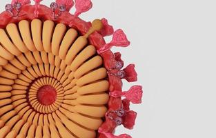 Cut in half and inside virus.  Pathogen respiratory influenza covid virus cells. New official name for Coronavirus disease named COVID-19. 3D Rendering. photo