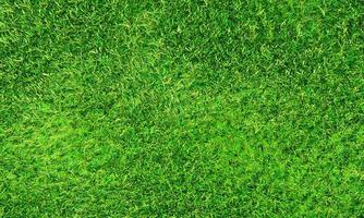 vista superior césped verde fresco para campos de fútbol y campos de golf. para usar para hacer un jardín de fondo o papel tapiz. hierba verde fresca para un parque infantil. representación 3d