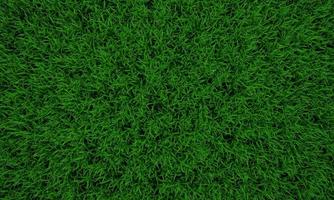 fondo de textura de hierba verde, césped verde, patio trasero para el fondo, textura de hierba, imagen de escritorio de césped verde, textura de césped de parque. Representación de software 3D. foto