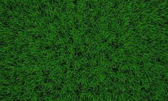 Green grass texture background, Green lawn, Backyard for background, Grass texture, Green lawn desktop picture, Park lawn texture. 3D software rendering. photo
