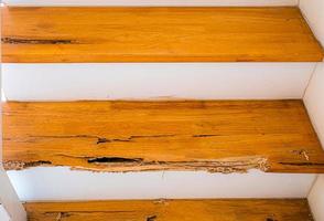 escaleras de la casa que fueron picadas por termitas. la madera se partió porque la destruyeron las termitas. foto