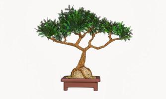 Plants in small pots or bonsai embrace rocks. Terracotta pots and bending plants. Curved pine in a small pot. 3D Rendering
