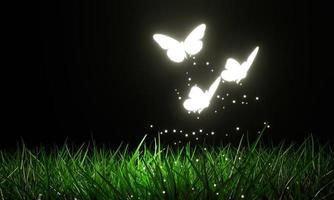 Glowing butterflies flying above the lawn There is a glow in the dark in a fantasy theme. Butterflies fly in the dark on the field. 3d rendering photo