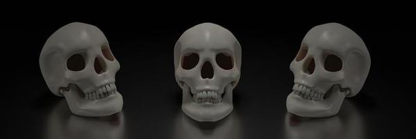 Human skull model, clean skull head, placed on a shiny surface, and a black background. 3D Rendering photo