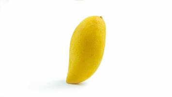 nombre de especie de mango amarillo maduro nam dok mai. un mango popular originario de Tailandia. para el postre mango arroz nuevo aislado sobre fondo blanco foto