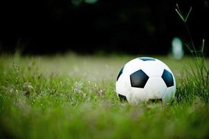 la pelota en el césped en el campo verde en el campo de fútbol listo para la pena. y empezar a jugar al fútbol en serio. foto