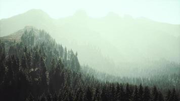 majestuosas montañas con bosque en primer plano en canadá foto