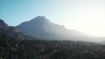 Beautiful sunset view in cedar forest in front of sayan mountain range photo