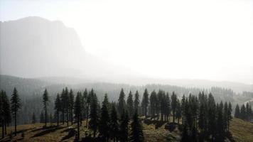 increíbles vistas a las montañas en el norte de canadá en verano foto