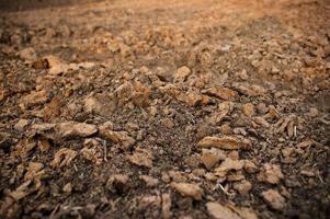Ground, ground, brown background Organic farming close to nature, the texture of the mud environment on the ground that can grow crops. Agricultural The Farmer's Farmer