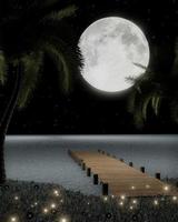 Full moon with stars in the sky. moonlight reflected on the water's surface or Sea and  Ocean. Fireflies on the grass, there are flowers on the field. romantic atmosphere of valentine. 3D Rendering photo