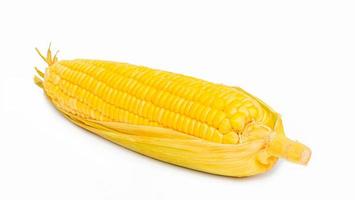 Single ear of corn with green leaves . Fresh corn on cob isolated on white background. photo