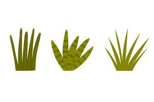 set desert plant in flat hand drawn style. wild west, desert, plants. vector illustration isolated on white background