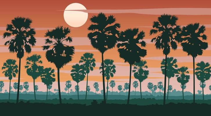 Silhouette scenery of landscape of Asia on tropical area with palm tree forest