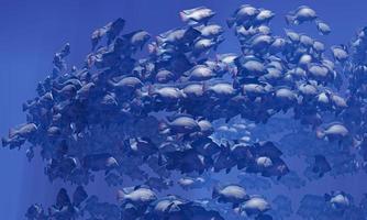 bandadas de peces nadan en grupos, el círculo submarino brilla. muchas tilapias nadan en grupos o en grupos. naturalmente, bajo el agua, las manadas de peces son alimentadas como alimento. representación 3d