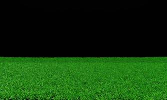 Bright green lawn There are long, short grasses alternating. Side view of the grass or green field with a black background.3D Rendering photo