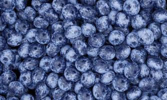 Close up and top view Lots of blueberries. Dark blueberry, fresh color, white pattern Use it as wallpaper or background. 3D Rendering. photo