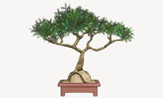 Plants in small pots or bonsai embrace rocks. Terracotta pots and bending plants. Curved pine in a small pot. 3D Rendering