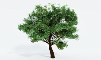 Big trees, branches and full leaves Trunk, brown bark a. Isolated on white background. 3D Rendering. photo