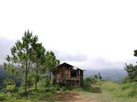 Wooden hut for harvesting crops on the mountains. Pine trees on the mountains beside the huts. Morning sunlight on the hilltop. photo