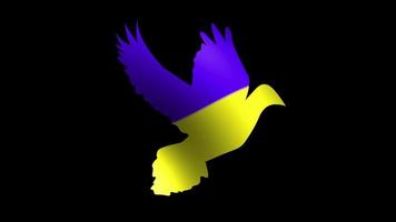 Silhouette of a dove with a blue-yellow Ukrainian flag. Ainmation 4K photo