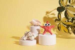 Starfish in sunglasses and shells on the catwalks under the hot sun. Creative summer concept photo