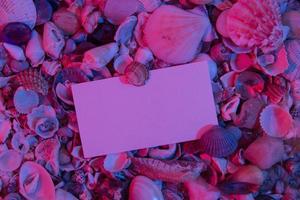Top view of seashells with sheet of paper for text in neon light. Creative summer abstract background flat lay with copy space