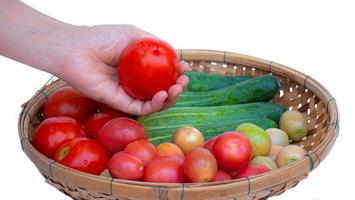 Female left hand Hold the tomato in your hand. Bamboo basket put available fruits and vegetables like cucumber and tomato on white background. photo