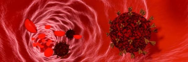 modelo de coronavirus o covid-19 en vasos sanguíneos y células sanguíneas. el brote del virus en el torrente sanguíneo en el cuerpo humano. representación 3d foto