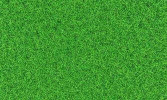 vista superior césped verde fresco para fondo, telón de fondo o papel tapiz. las llanuras y los pastos de varios tamaños están limpios y ordenados. la superficie del césped es uniformemente brillante y brillante. representación 3d foto