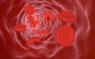 Red blood cells moving in blood vessel . 3D rendering. use for background and wallpaper photo