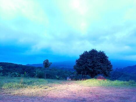 Big tree on the foothills With a complex mountain range background, covered with fog in the morning photo