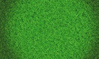 Green grass background vignette or the naturally walls texture . Top view Fresh green lawns for background, backdrop or wallpaper. Plains and grasses of various sizes are neat and tidy. The lawn photo