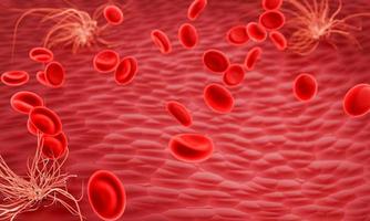 Red blood cells moving in blood vessel for land scape style. 3D rendering. use for background and wallpaper photo