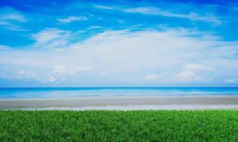 Bright green grass field or lawn next to the beach or sea with bright blue sky and white clouds. 3D Rendering. Panorama of the sea and the beach with green grass. photo