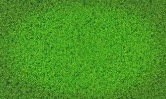 Top view Fresh green lawns for background, backdrop or wallpaper. Plains and grasses of various sizes are neat and tidy. The lawn surface is evenly shining and bright.3D Rendering photo