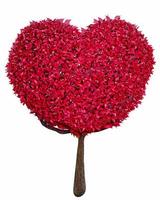 A tree with heart-shaped leaves Suitable for use in the concept of love, romance, valentines. Red leaves look like maple leaves on a big tree. Isolated on white background. 3D Rendering. photo