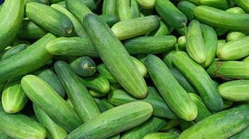 Group cucumber background