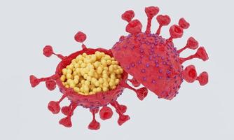 Cut in half and inside virus.  Pathogen respiratory influenza covid virus cells. New official name for Coronavirus disease named COVID-19. 3D Rendering. photo
