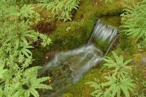 Small waterfall in deep forest in Japan photo