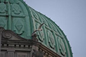 pájaro vuela sobre edificio antiguo foto