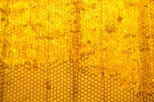 Honeycomb from bee hive filled with golden honey photo